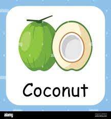 a coconut